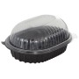 15932277603101 CONJUNTO POLLERA (www.carsnack.com)