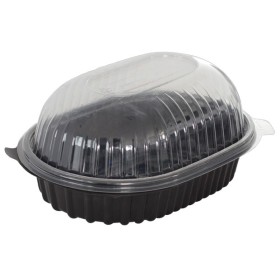 15932277603101 CONJUNTO POLLERA (www.carsnack.com)