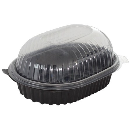 15932277603101 CONJUNTO POLLERA (www.carsnack.com)