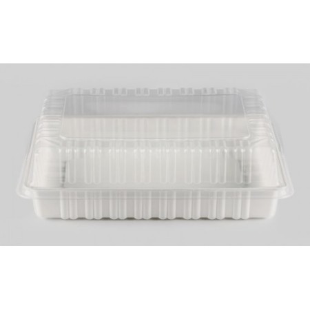 Base tarrina pasta x6  15932277602111 (Carsnack)