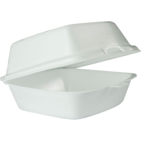 Contenedor 5x5 15932277602181 (Carsnack)