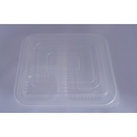 Contenedor Transparente 146 pp de tres divisiones 15932277602501 (Carsnack)